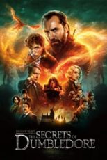 دانلود زیرنویس فارسی فیلم
Fantastic Beasts: The Secrets of Dumbledore 2022