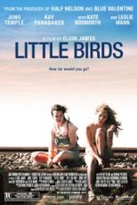 دانلود زیرنویس فارسی فیلم
Little Birds 2011