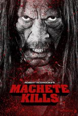 دانلود زیرنویس فارسی فیلم
Machete kills 2013
