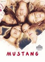 دانلود زیرنویس فارسی فیلم
Mustang 2015