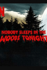 دانلود زیرنویس فارسی فیلم
Nobody Sleeps in the Woods Tonight 2020