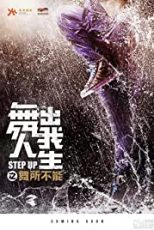 دانلود زیرنویس فارسی فیلم
Step Up China 2019
