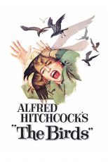 دانلود زیرنویس فارسی فیلم
The Birds 1963