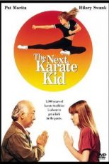 دانلود زیرنویس فارسی فیلم
The Next Karate Kid 1994