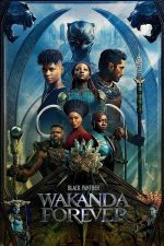 دانلود زیرنویس فارسی فیلم
Black Panther: Wakanda Forever 2022