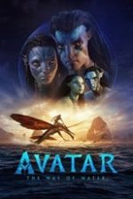 دانلود زیرنویس فارسی فیلم
          Avatar: The Way of Water 2022